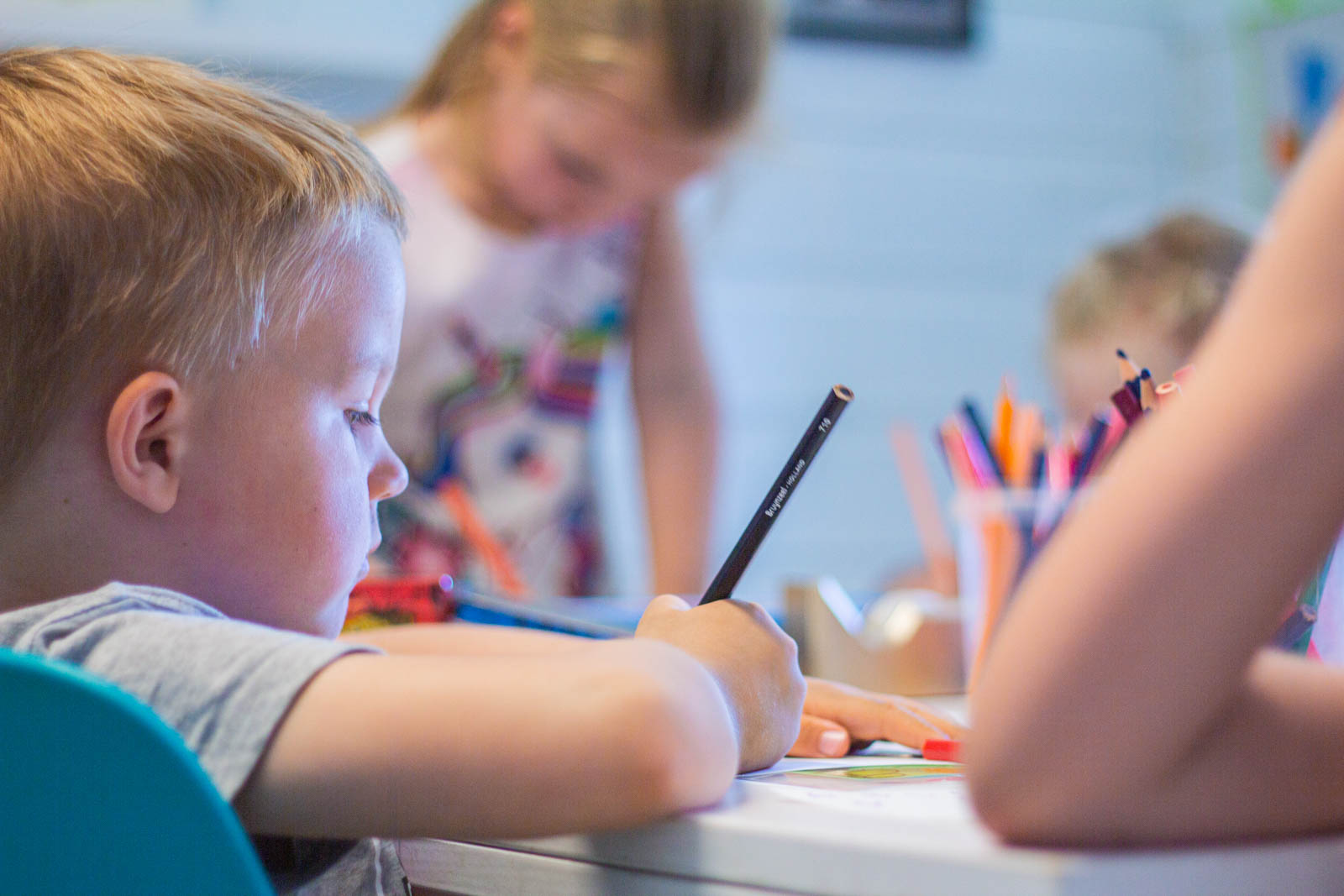 Sole Skog Barnehage Kontakt